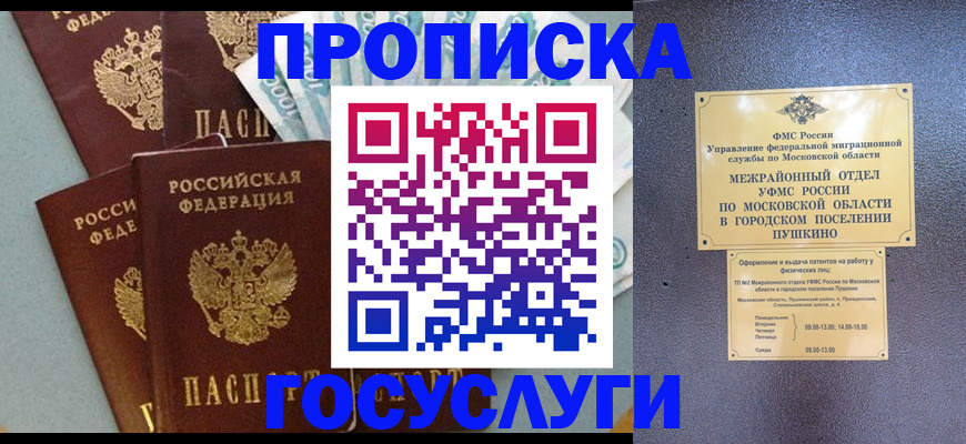 прописка гарантия в Павловске